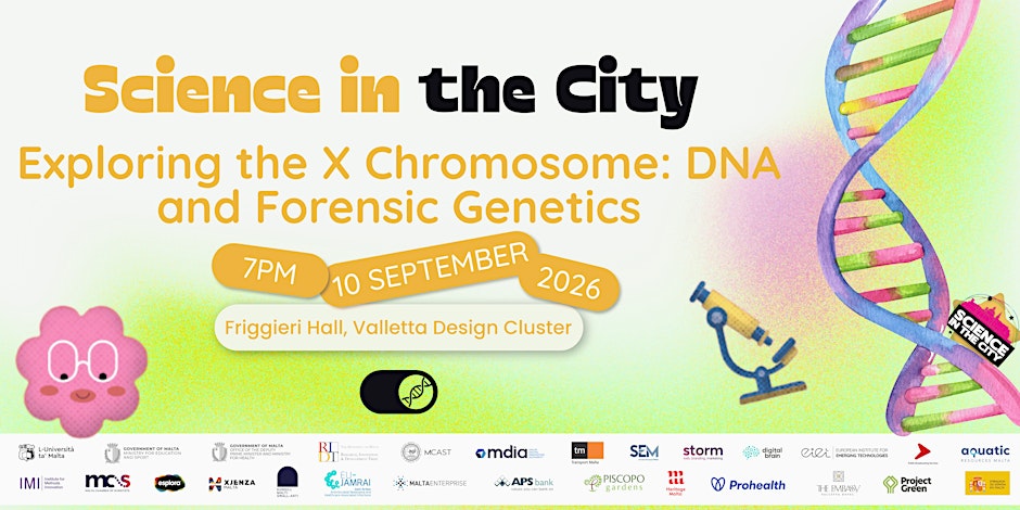 The X Chromosome