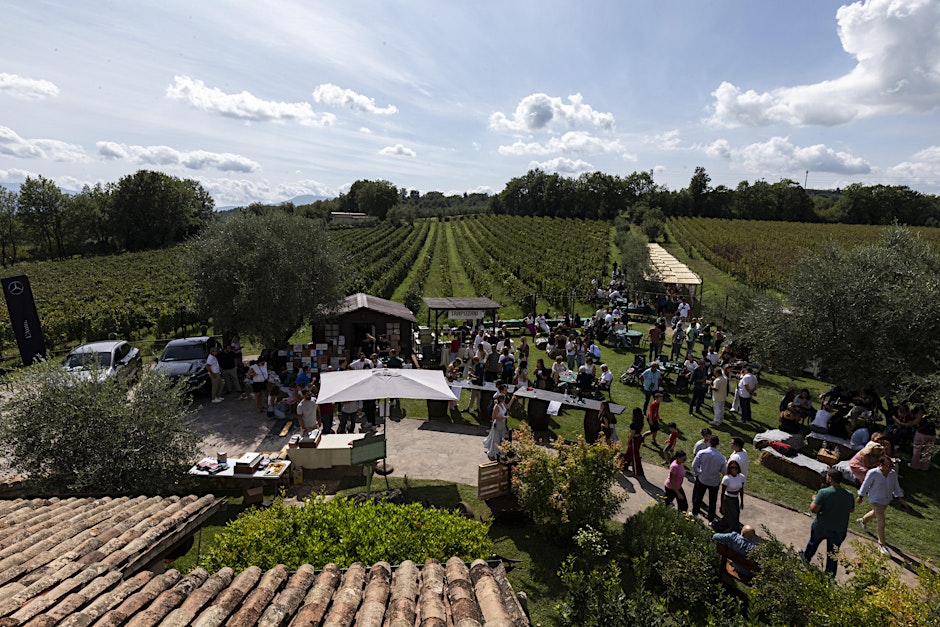 Not Street but Country - Food & Wine